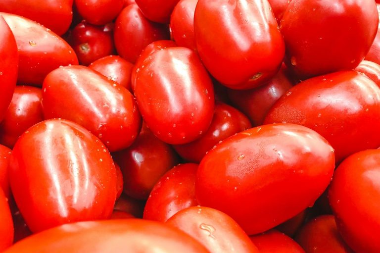 Canned San Marzano tomatoes wholesale distributor